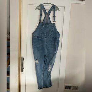 Lane Bryant Light Blue Denim Jeans (B0042)